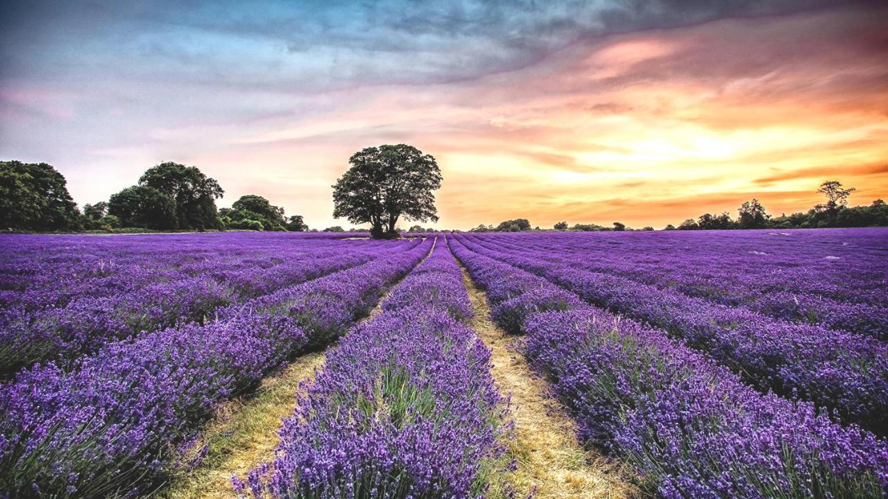 La Maison Des Collines Allemagne-en-Provence Exteriér fotografie