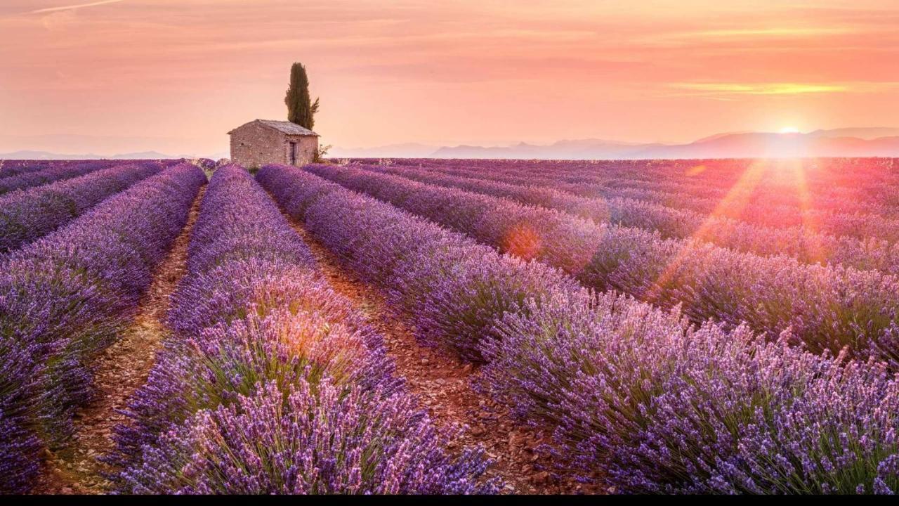 La Maison Des Collines Allemagne-en-Provence Exteriér fotografie